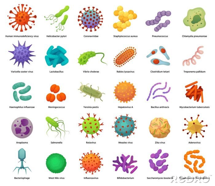 Papier peint  Bacteria and virus icons. Disease-causing bacterias, viruses and microbes. Color germs, bacterium types vector illustration set. Coronavirus and bacterium, pathogen hepatovirus and zika