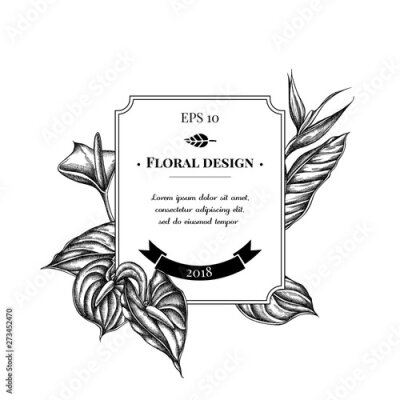 Papier peint  Badge design with black and white gloriosa, anthurium, strelitzia
