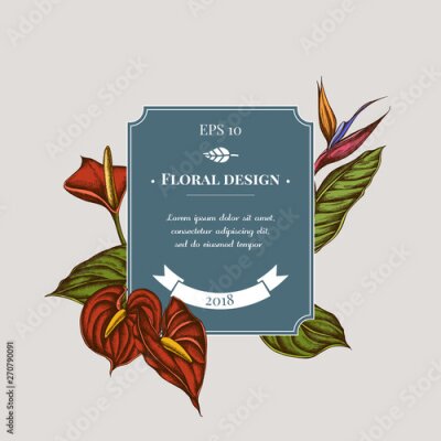 Papier peint  Badge design with colored gloriosa, anthurium, strelitzia