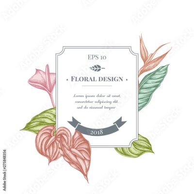 Papier peint  Badge design with pastel gloriosa, anthurium, strelitzia