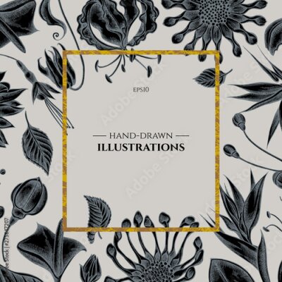 Papier peint  Badge over design with african daisies, fuchsia, gloriosa, king protea, anthurium, strelitzia