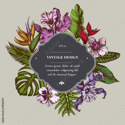 Papier peint  Badge over design with monstera, banana palm leaves, strelitzia, heliconia, tropical palm leaves, orchid