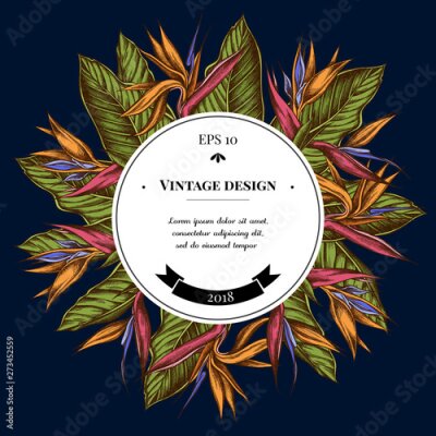 Papier peint  Badge over design with strelitzia