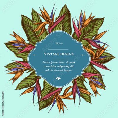 Papier peint  Badge over design with strelitzia