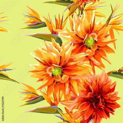 Papier peint  bagout transparente de Strelitzia et fleurs de dahlia