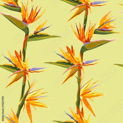 Papier peint  bagout transparente des fleurs de Strelitzia sur un banc avec des feuilles