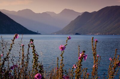 Baie de Kotor au matin. Monténégro