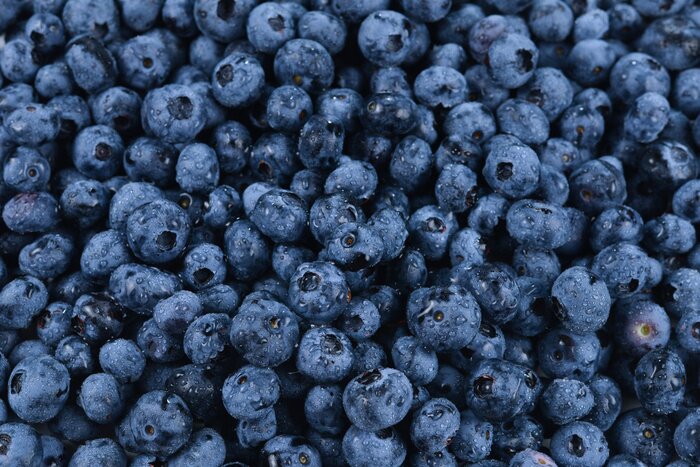 Papier peint  Baies bleu foncé dans un panier