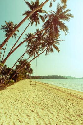 Papier peint  Balançoire de plage sur un palmier