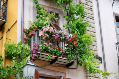 Papier peint  Balcon avec des fleurs et des plantes