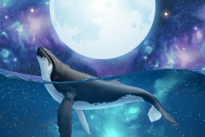 Papier peint  Baleine avec un ciel étoilé et la pleine lune en arrière-plan