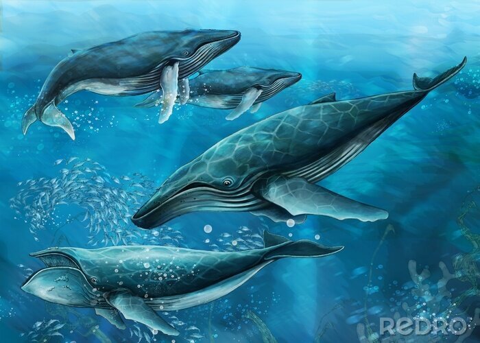 Papier peint  Baleines dans l'océan