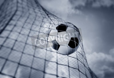 Papier peint  Balle au fond du filet crépuscule