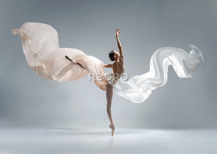 Papier peint  Ballerine dans une pose artistique