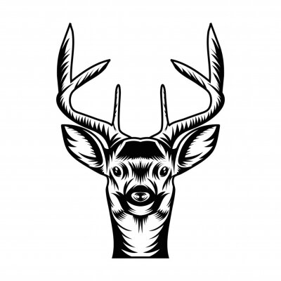 Papier peint  Balles sur le terrain