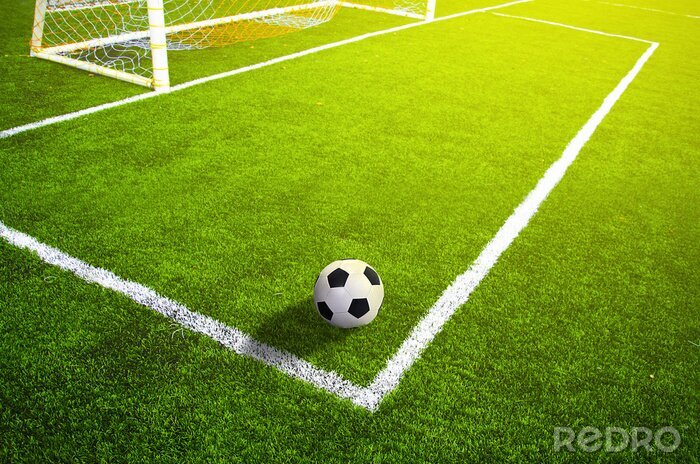 Papier peint  Ballon dans la surface de but