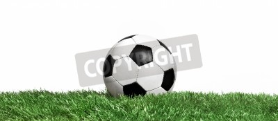 Papier peint  Ballon de foot sur le gazon