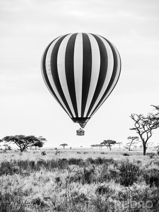 Papier peint  Ballon volant au-dessus de la savane africaine