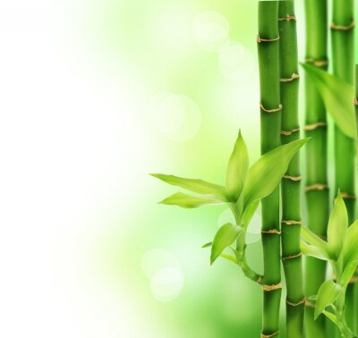 Bambou 3D sur fond abstrait