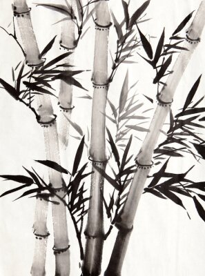 Bambou avec des feuilles noires distinctes