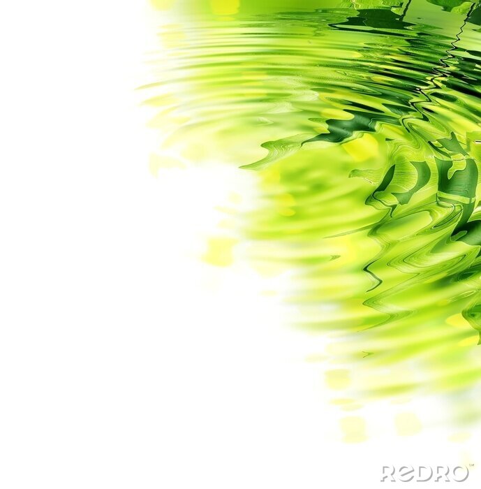 Papier peint  Bambou dans le reflet de l'eau