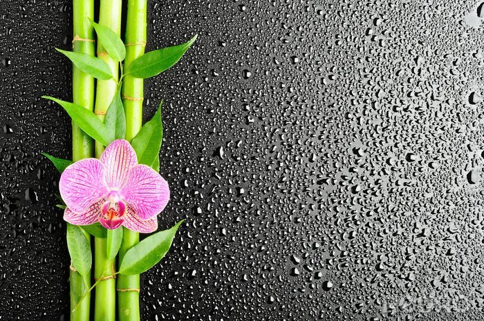 Papier peint  Bambou et orchidée sur fond noir