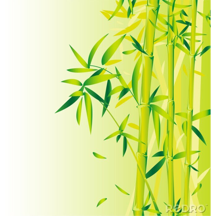 Papier peint  Bambou graphique