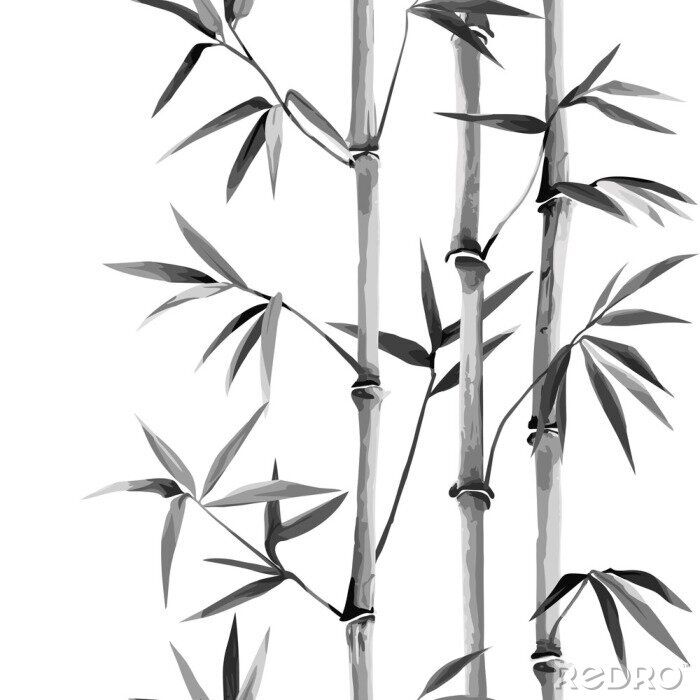 Papier peint  Bambou noir et blanc