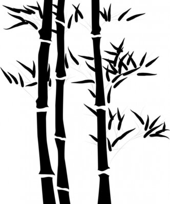 Papier peint  Bambou noir sur fond blanc