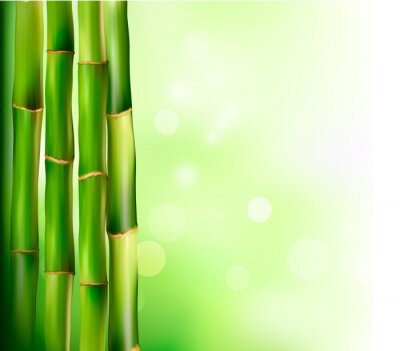 Papier peint  Bambou sur fond vert abstrait