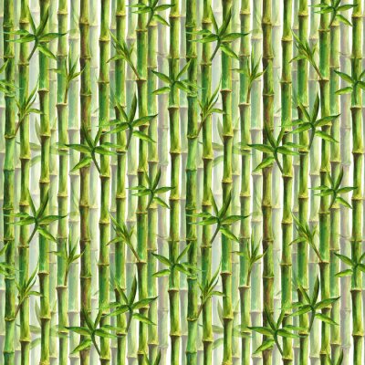 Bambous densément plantés