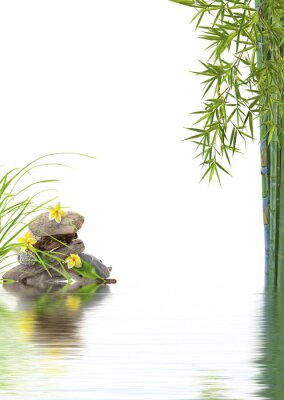 Bambous et pierres sur l'eau