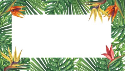 Papier peint  Banner frame green palm leaves strelitzia flower. Monstera Likuala Jungle tropical exotic. Hand-drawn watercolor illustration isolated on white background. For logo card poster label invitations