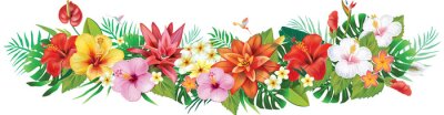 Papier peint  Banner from Strelitzia flowers and tropical plants