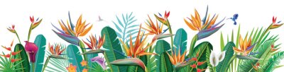 Papier peint  Banner from Strelitzia flowers and tropical plants