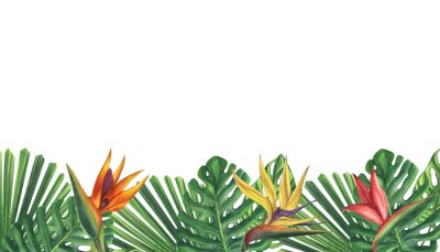 Papier peint  Banner green palm leaves strelitzia flower. Monstera Likuala Jungle tropical exotic. Hand-drawn watercolor illustration isolated on white background. For logo card poster label invitations