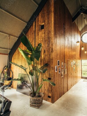 Papier peint  Barnwood wall with a huge Strelitzia tropical plant in a loft style interior
