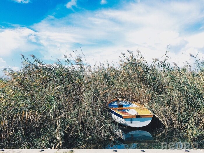 Papier peint  Barque abandonnée dans les joncs