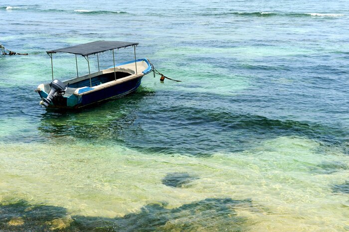Papier peint  Bateau en mer tropicale