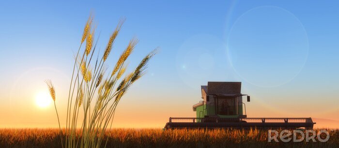 Papier peint  batteuse de blé