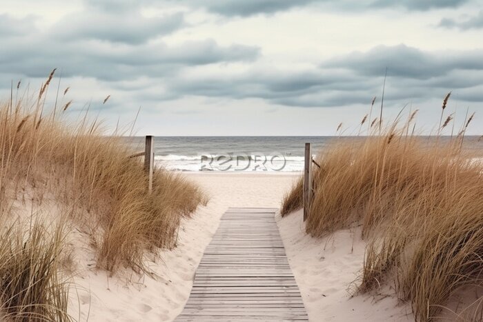 Papier peint  Beach access wooden pathway of a sea in sand dunes with ocean