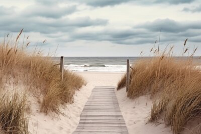Papier peint  Beach access wooden pathway of a sea in sand dunes with ocean