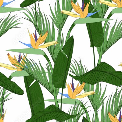 Papier peint  Beach cheerful seamless pattern wallpaper of tropical green leaves of palm trees and flowers bird of paradise (strelitzia) plumeria on a white background.