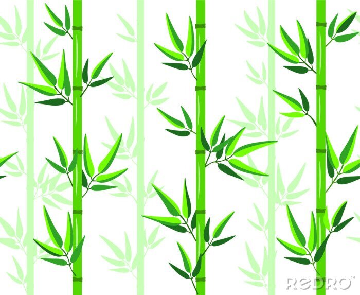 Papier peint  Beau bambou aux feuilles vertes