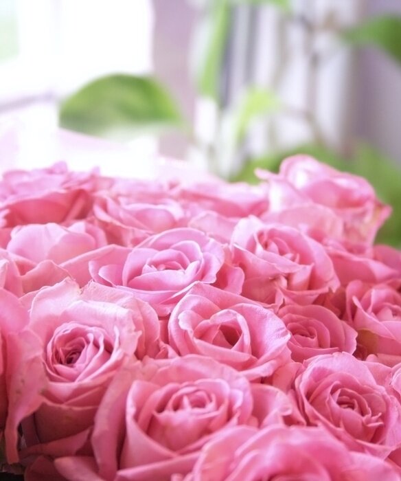 Papier peint  Beau bouquet de fleurs