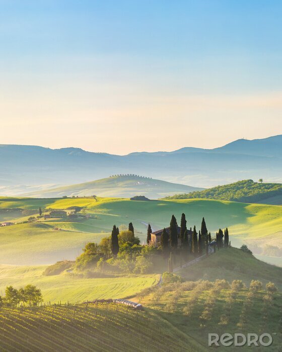 Papier peint  Beau, brumeux, paysage, Toscane, Italie