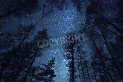 Papier peint  Beau ciel nocturne