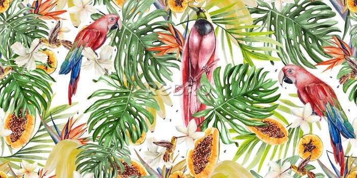 Papier peint  Beau modèle tropical aquarelle avec des perroquets et des fleurs d'hibiscus et de strelitzia. Papaye et banane aux fruits tropicaux.