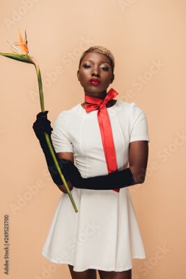 Papier peint  beautiful african american girl in black gloves posing with Strelitzia flower isolated on beige