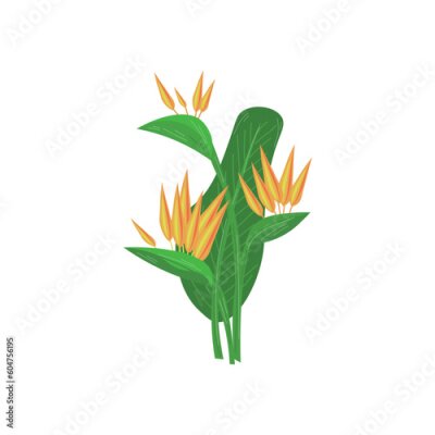Papier peint  Beautiful blooming strelitzia plant on white background
